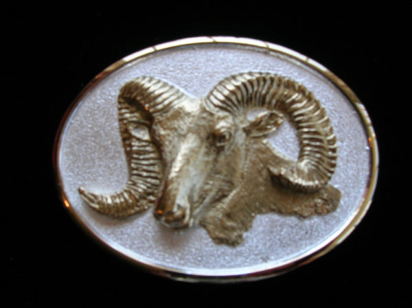 Rocky Mountain Bighorn sheep sterling silver belt buckles | www.donbeckbronzes.com